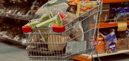 a shopping cart full of groceries in a grocery store